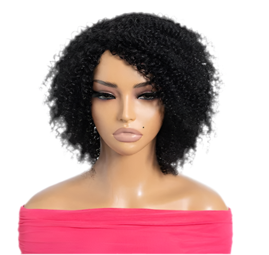 Perruques Bouclées Afro Kinky Courtes pour Femmes - Cheveux Humains Noirs